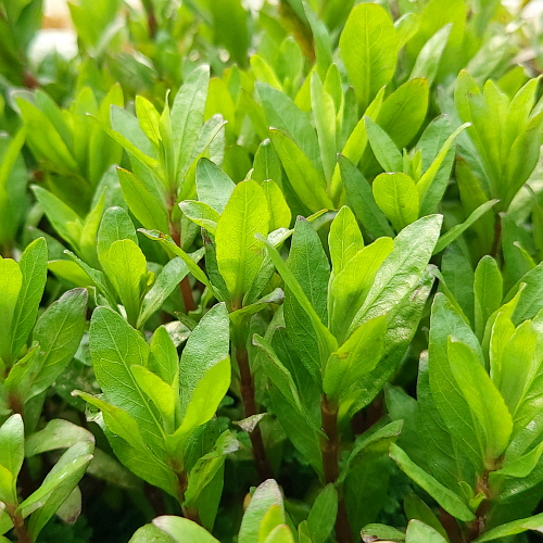 47b5971c60c0dc70604079b9cf1f3f46_1620093142_3745.jpg