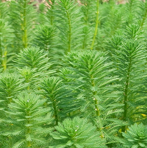 47b5971c60c0dc70604079b9cf1f3f46_1620093336_7929.jpg