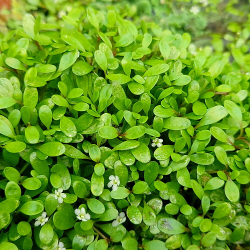 47b5971c60c0dc70604079b9cf1f3f46_1620093396_793.jpg